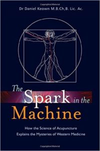 Spark in the Machine health book summary review