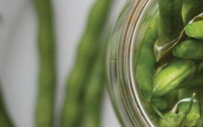 Cultured Dill Beans Fermented Foods Recipe