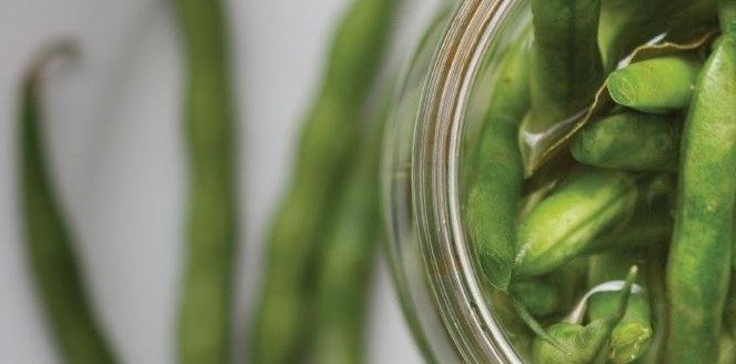 Cultured Dill Beans Fermented Foods Recipe