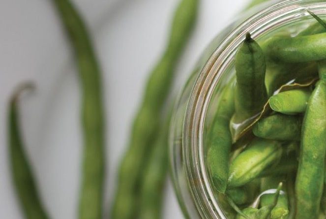 Cultured Dill Beans Fermented Foods Recipe