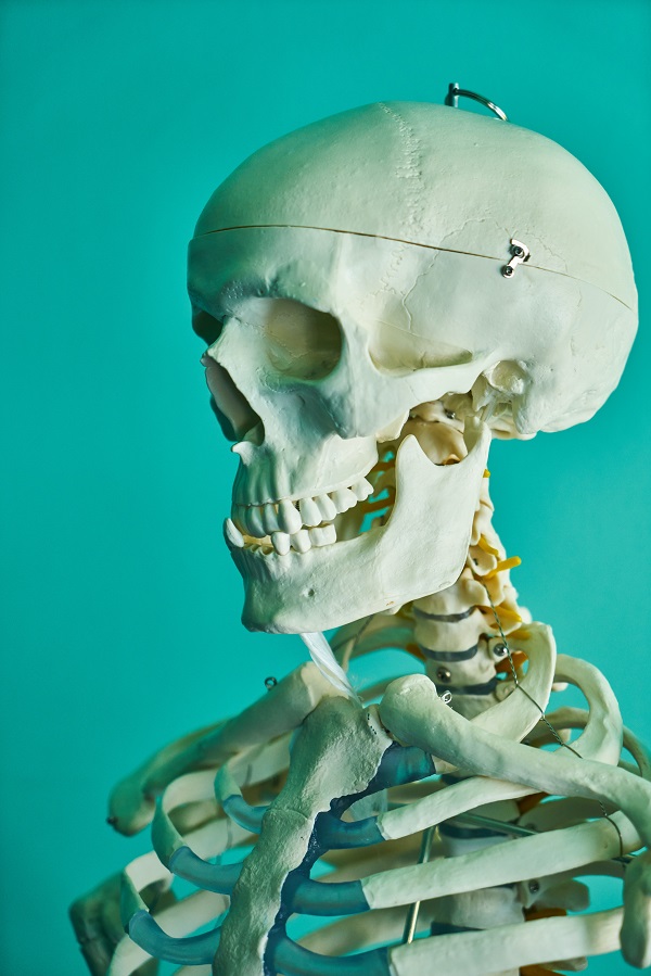 skeleton jaw pain vancouver acupuncture