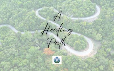 Healing Is Not Linear: The Journey Through Acupuncture and Chinese Medicine Pathways