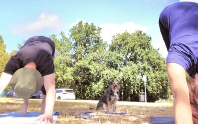 More Than Poses, More Than Needles: What Yoga and Traditional Chinese Medicine Have in Common