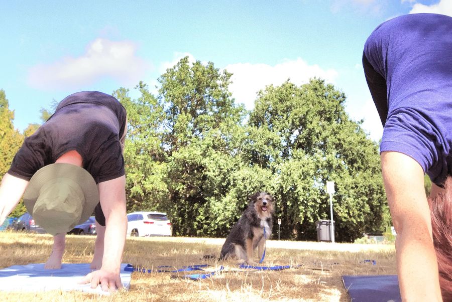 yoga acupuncture vancouver tcm